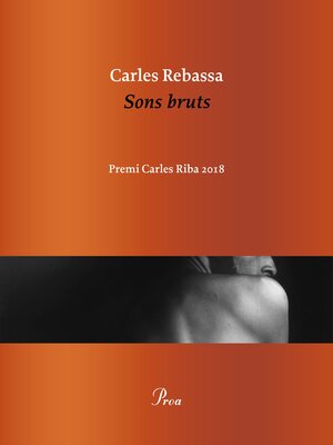 cover image of Sons bruts